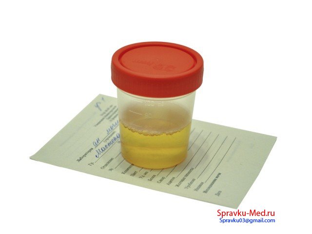 Анализ мочи формы 210у Анализ мочи формы 210у